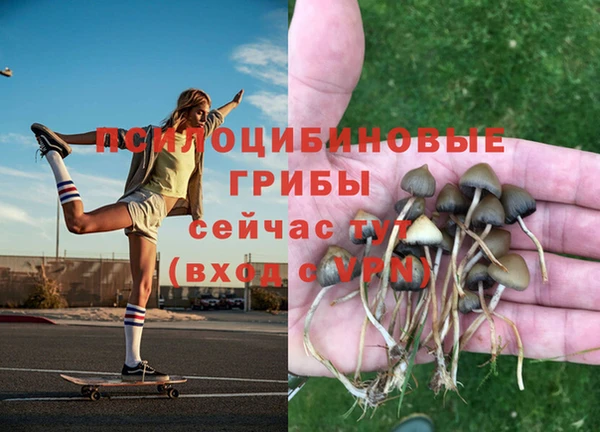 PSILOCYBIN Алексеевка