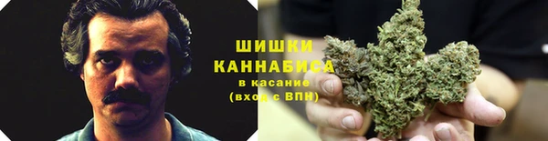 PSILOCYBIN Алексеевка