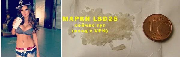 PSILOCYBIN Алексеевка