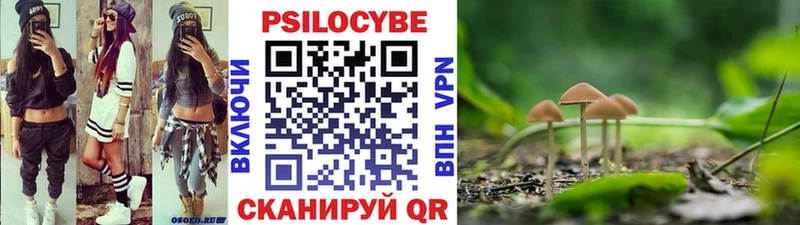 Галлюциногенные грибы Psilocybine cubensis Кукмор