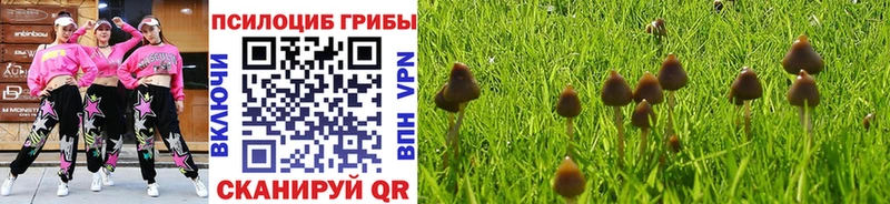 купить наркотик  Кукмор  Галлюциногенные грибы прущие грибы 